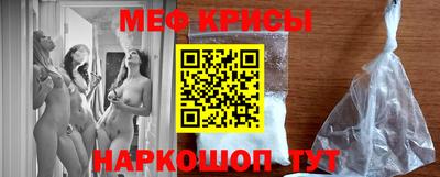 молекула духа Кингисепп