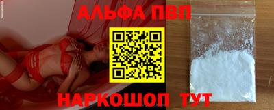молекула духа Кингисепп