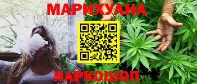 молекула духа Кингисепп