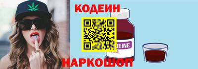 молекула духа Кингисепп