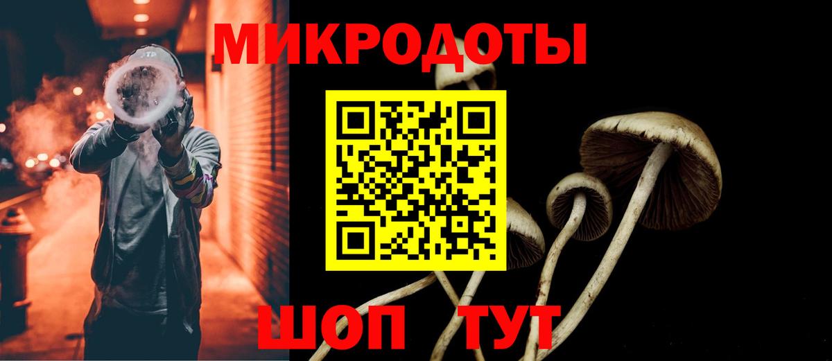 наркошоп  Галлюциногенные грибы GOLDEN TEACHER  Вход с VPN  Тимашёвск 